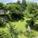 개멍물멍 이미지