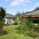 하도조아 이미지