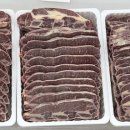 성현미트 이미지