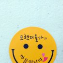코핸디 이미지