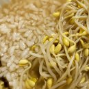 송천콩나물국밥 이미지