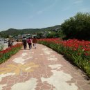 북천면사무소 이미지