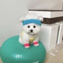 크림 하우스 성수
