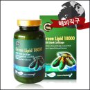 그린오일 이미지