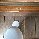 아담한가 이미지