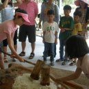 동백꽃마을 이미지