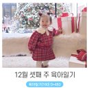 청향소림산장내자연치유의집 | 12월 셋째 주 육아일기 _ 콩콩이 인생 두 번째 크리스마스 주간