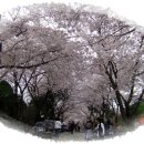 남해는, 지금 이미지