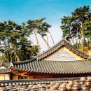 이유씨