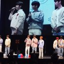 윈터블라썸 이미지