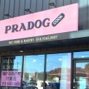 프라독 쿡 이미지