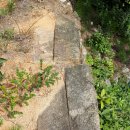 창녕 옥천사지 이미지