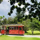 그냥갈수없자나 이미지