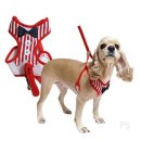 우쭈쭈 애견샵 이미지