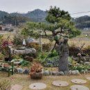 한산다향