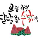 대림코너최계화공인중개사사무소 이미지
