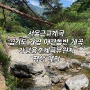 용추계곡유원지 | 서울근교계곡 경기도 가평 애견동반 계곡 가평용추계곡유원지 평상 예약