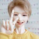 스마일댕댕 이미지