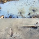 ㈜신명건설 이미지