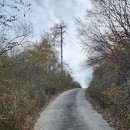 명월1리 이미지