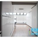 서련코아 이미지