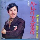 변철 나훈아 [사나이 가슴깊이／사랑하고 미워도 했다] (1971) 이미지