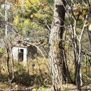 증산초교앞 이미지