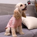 태성무역 이미지