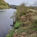 정안 낚시터 이미지