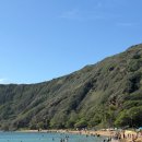 11650-11-72-30 | 9박 11일 하와이 여행 8일차 - 오아후 : 하나우마베이 72번 국도 노스쇼어