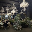 비엔나 | 대구 웨딩홀 6곳 투어(퀸벨,m스타,칼라디움,aw,아리아나,비엔나)후기