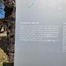 무일농산 | 대구 팔공산 파계사의 봄