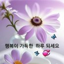 ♤홀로가는_내_삶의길♧ 이미지