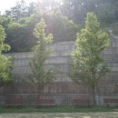 웅상체육공원 족구장 이미지