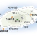 제주의삶 이미지