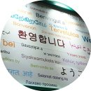 캘리 호스텔 이미지