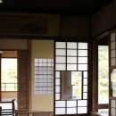 연못위