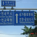 순천만 여행 이미지