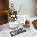 2291 | 유성구원데이클래스 대전캔들공방 온화 에서 시나몬캔들만든 후기