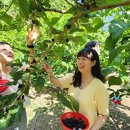 충도4리 이미지