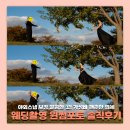 W. 야외스냅 사설보정 후기 자연스럽게 분위기 살려준 윈썸포토 만족 후기