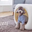 이향애견살롱 이미지