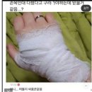 쪼랩