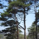 장구농장 이미지