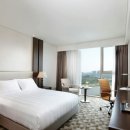 엑스포로123번길(유성-107) 이미지