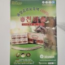 솔잎향기 | 부모님 명절 선물 당뇨 걱정되는 아빠 위해 고른 설 선물 솔잎기름추천 천비솔