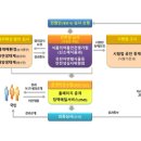 조미성 행정사사무소 네이버블로그