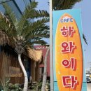 🌴대부도 오션뷰 카페 하와이다 후기｜평일 방문 추천, 휴양지 감성 가득