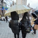 예진세탁소 이미지