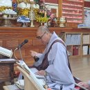 도일이네 이미지